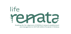 Life Renata Logo